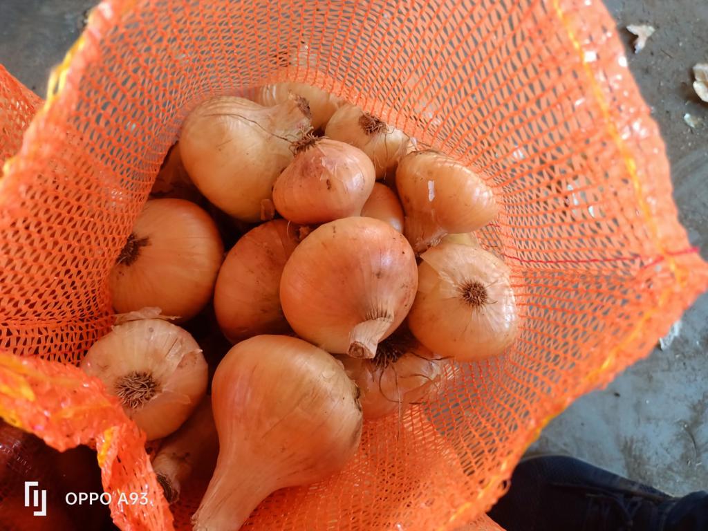 Product image - now available #fresh_onion
Sizes: all sizes according to customer request .
Packing :10 kg, 25 kg Mesh Bags or according to customer request .
Quality :First Class Onions
Order Now
For More Information About Our Product Please Contact Me
Best Regards
Ms/Merna Hesham

Cell(whats-app) 00201093042965
email :alshamsexporting@yahoo.com